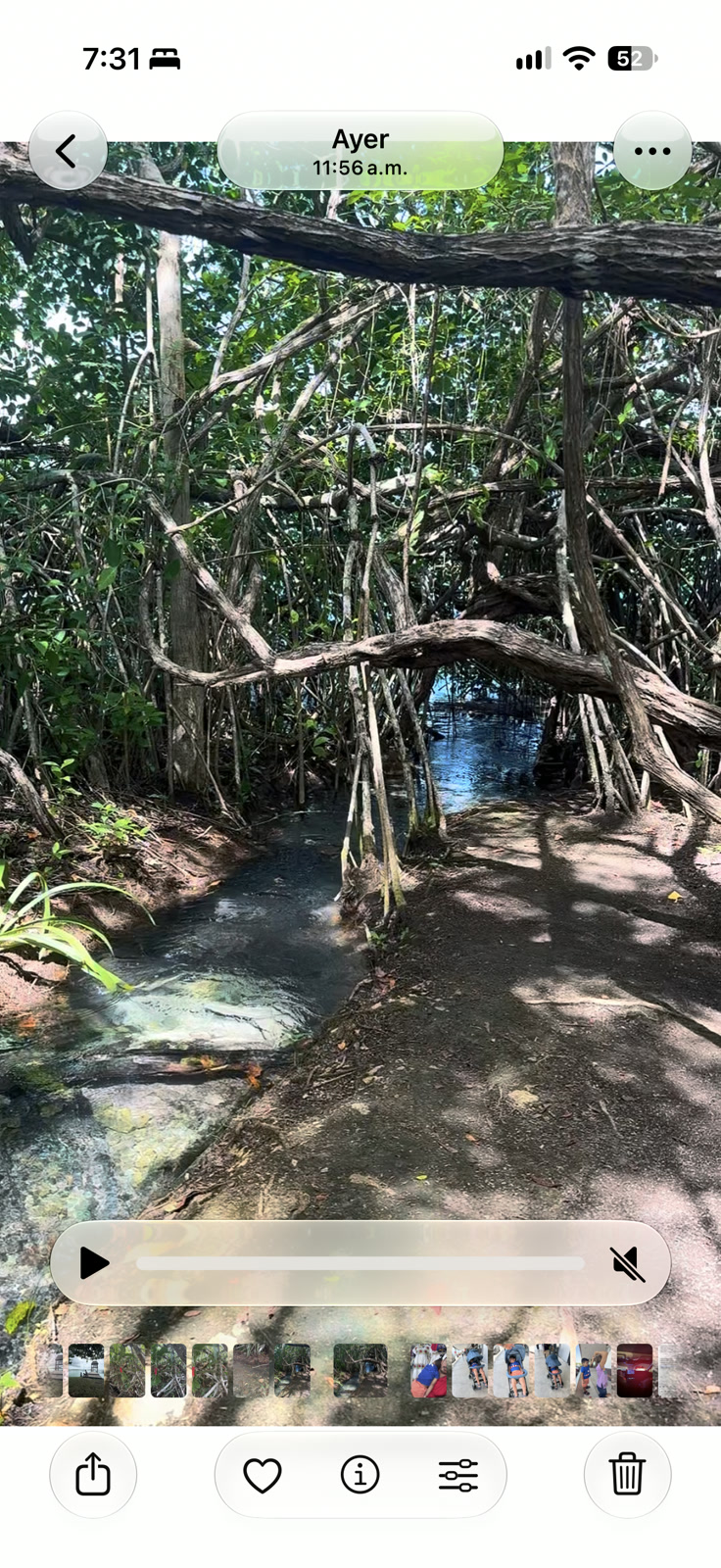 Nacimiento de agua entre raices y vegetacion en Panto-ha